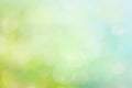 Abstract spring or summer bokeh background