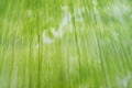 Abstract Natural Texture Background - Lines and Pattern created by Green Algae on Sandy Beach