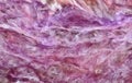 Abstract natural texture from lilac charoite Royalty Free Stock Photo