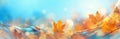 Beautiful autumn background with colorful autumn leaves on blue sky..
