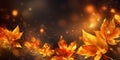 Abstract nature autumn Background with gold leaves, dark background, bokeh Royalty Free Stock Photo