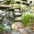 Abstract nature background with autumn leaves floating in Japanese pond Royalty Free Stock Photo