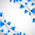 Abstract nature background. Blue cornflowers. Royalty Free Stock Photo