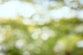 abstract nature background with blurry bokeh. Royalty Free Stock Photo