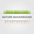 Abstract Nature Background. Green Grass.