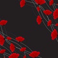 Abstract nature background. Red poppy flowers. Royalty Free Stock Photo