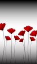 Abstract nature background. Red poppy flowers. Royalty Free Stock Photo