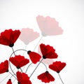 Abstract nature background. Red poppy flowers. Royalty Free Stock Photo