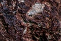 Abstract Nature beauty MACRO close up background cliff cracking rocks dramatic stones distressed face texture strong
