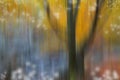 Abstract nature blurred background Royalty Free Stock Photo