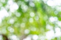 Abstract nature green blur background with bokeh Royalty Free Stock Photo