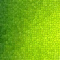 Abstract stony mosaic tiles texture background - highlight green color gradient Royalty Free Stock Photo