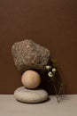 Abstract nature scene with composition of stones and dry branch. Neutral beige background for cosmetic, beauty product