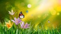 Abstract nature spring background with flower and butterfly art Royalty Free Stock Photo
