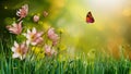 Abstract nature spring background with flower and butterfly art Royalty Free Stock Photo