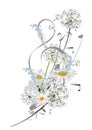 Abstract nature treble clef decorated with summer and spring flowers, notes. Light and relax music.