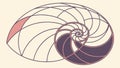 Abstract Nautilus Shell Design, Geometric Perfection and Natural Patterns, vector design Generative AI Royalty Free Stock Photo