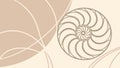 Abstract nautilus shell, symbolizing nature\'s geometry and organic growth, vector design Generative AI Royalty Free Stock Photo