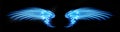 Abstract neon glowing blue angel wings. Isolated, strewn with sparks on dark, black background. Happy Valentines day, attributes.