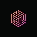 Abstract neon hexagonal linear modern digital logo template