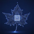 Abstract neon maple leaf with microprocessor inside Royalty Free Stock Photo