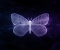 Abstract neon polygonal geometric butterfly