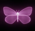 Abstract neon polygonal geometric butterfly consisting of lines. Wireframe technology structure