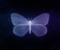 violet geometric butterfly