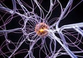 Abstract neural links