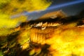 Abstract Night View with Maple in Kiyomizu Dera Temple , Kyoto , Japan Royalty Free Stock Photo