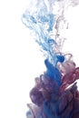 Abstract object of paint splash. Color cloud of ink in water Royalty Free Stock Photo