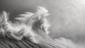 Abstract ocean wave captured in dynamic grayscale motion