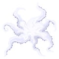 Abstract octopus design with swirling tentacles in shades of purple and white. Marine life and sea creature with elegant