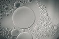 Abstract oil bubbles coloured background Royalty Free Stock Photo