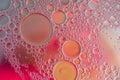 Abstract oil bubbles colored background Royalty Free Stock Photo