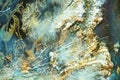 Abstract oil paint sparkling gold organic textile hypnotic background Royalty Free Stock Photo