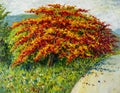 Abstract oil painting landscape red orange color of Peacock flowers Royalty Free Stock Photo