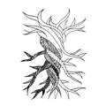 Abstract old tree with roots, zen doodle for your design Royalty Free Stock Photo