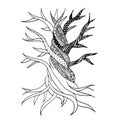 Abstract old tree with roots, zen doodle Royalty Free Stock Photo