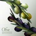 Abstract Olive Branches Poster