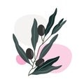 Abstract olive leaves, modern art poster in pastel colors, geometric elements, leaves and berries, olives, design for