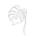 Abstract one line art leaf. Monstera contour drawing Royalty Free Stock Photo