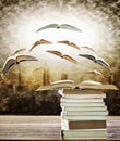 Abstract of open book on stack and flying book to the light over Royalty Free Stock Photo