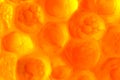 Abstract orange background from bubbles of red caviar on a gleam