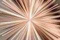 Abstract Orange And Brown Radial Sunburst Background Beautiful elegant Illustration Royalty Free Stock Photo