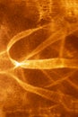 Abstract orange fire like background with shadows and sparkles. Royalty Free Stock Photo