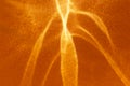 Abstract orange fire like background with shadows and sparkles. Royalty Free Stock Photo
