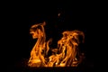 Abstract flame. Fire element on the black background.