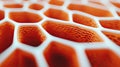 Abstract Orange Honeycomb Structure with White Frame, Macro Perspective Royalty Free Stock Photo