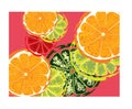 Abstract slices of citric fruits